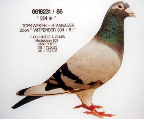 30287589_16.jpg