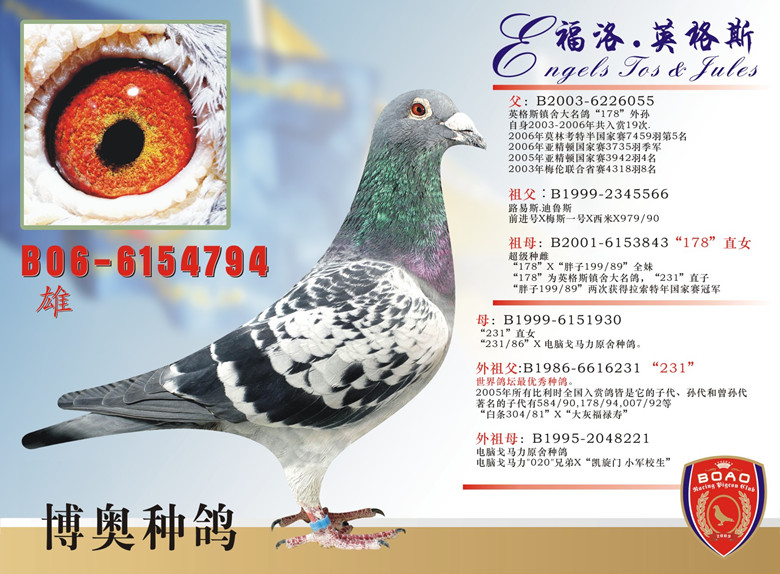 794_副本.jpg