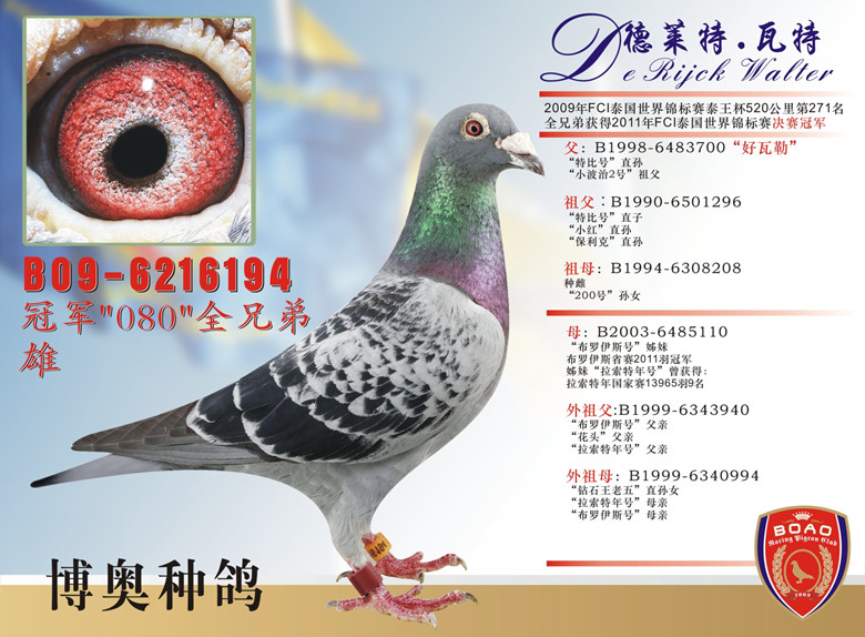 194_副本.jpg