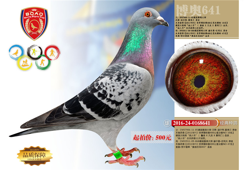 30-副本.jpg