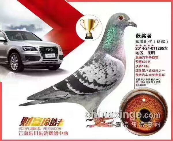 285车.JPG