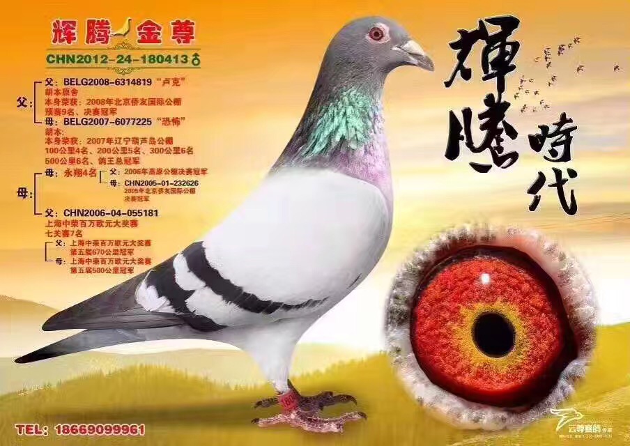 413.JPG