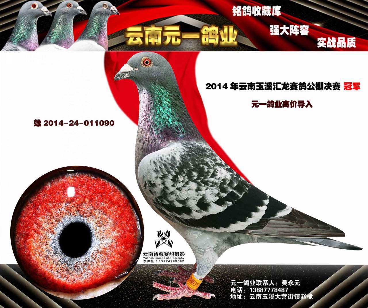 2014汇龙冠军.jpg