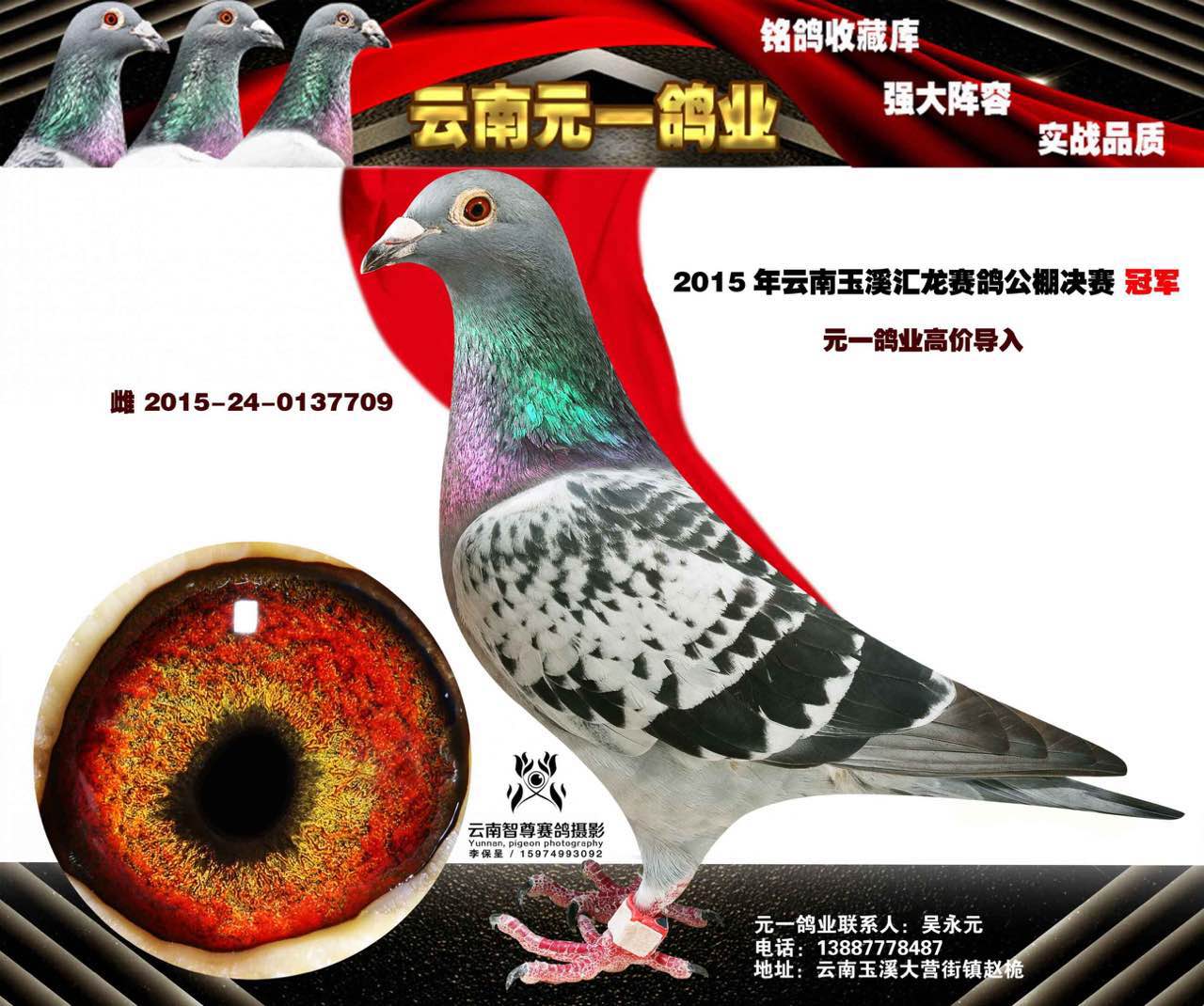 2015汇龙冠军.jpg