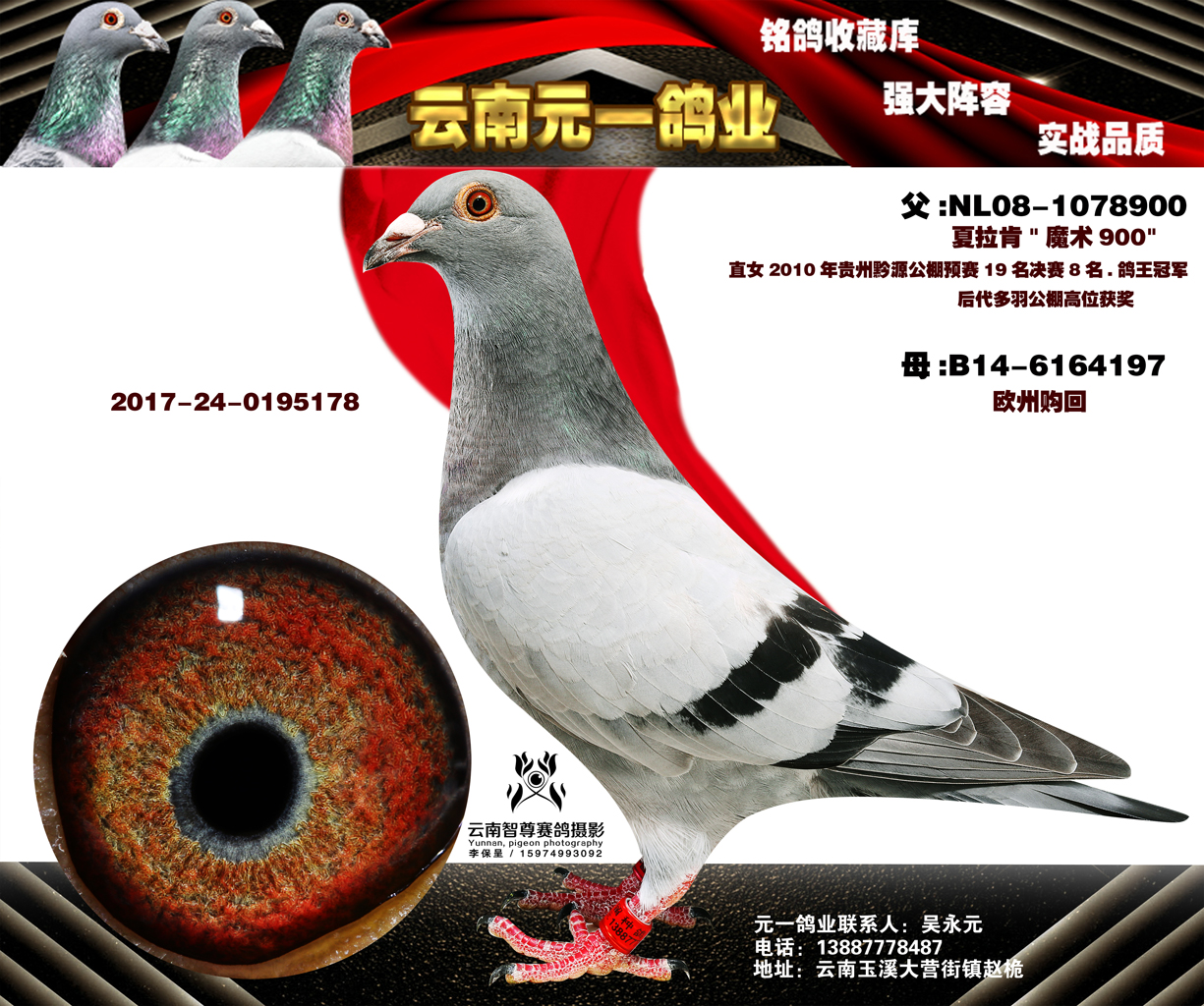 1-2017-24-0195178副本.jpg