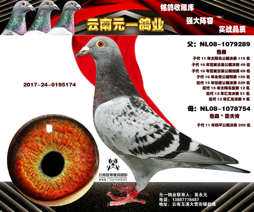 6-2016-24-0195174副本.jpg