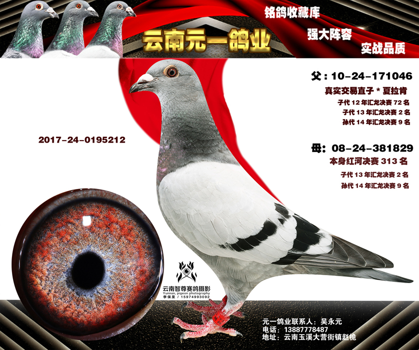8-2017-24-0195212副本.jpg