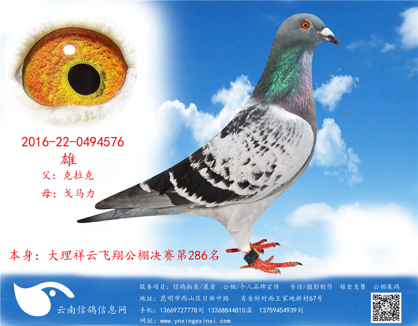 576_副本1.jpg