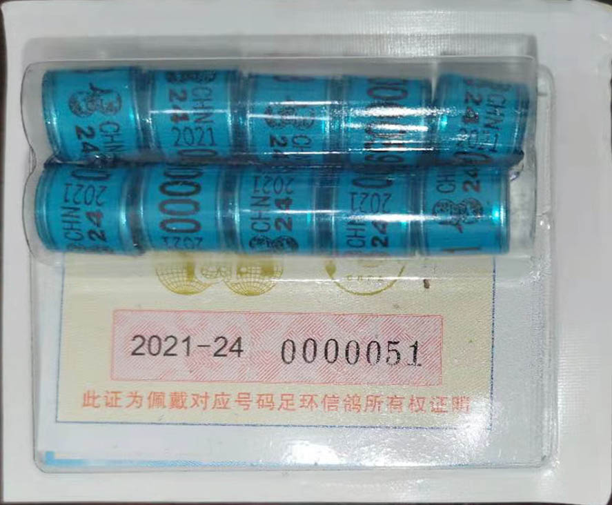 2021年云南省信鸽足环公益拍卖